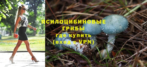 ECSTASY Армянск