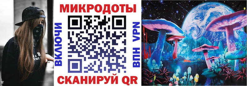 Галлюциногенные грибы Psilocybe  блэк спрут ССЫЛКА  Канаш  хочу  